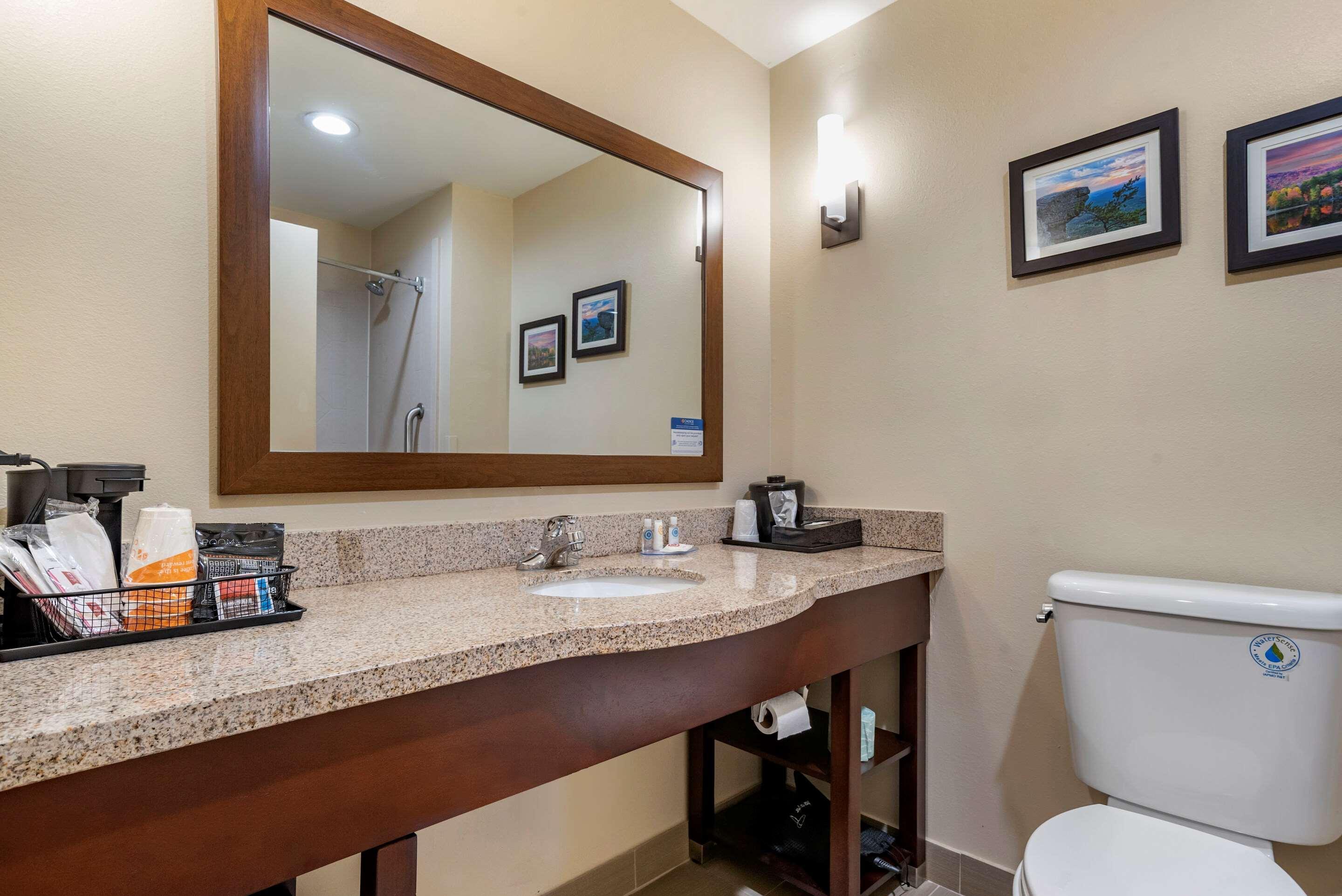 Comfort Suites Pell City I-20 Exit 158 Экстерьер фото
