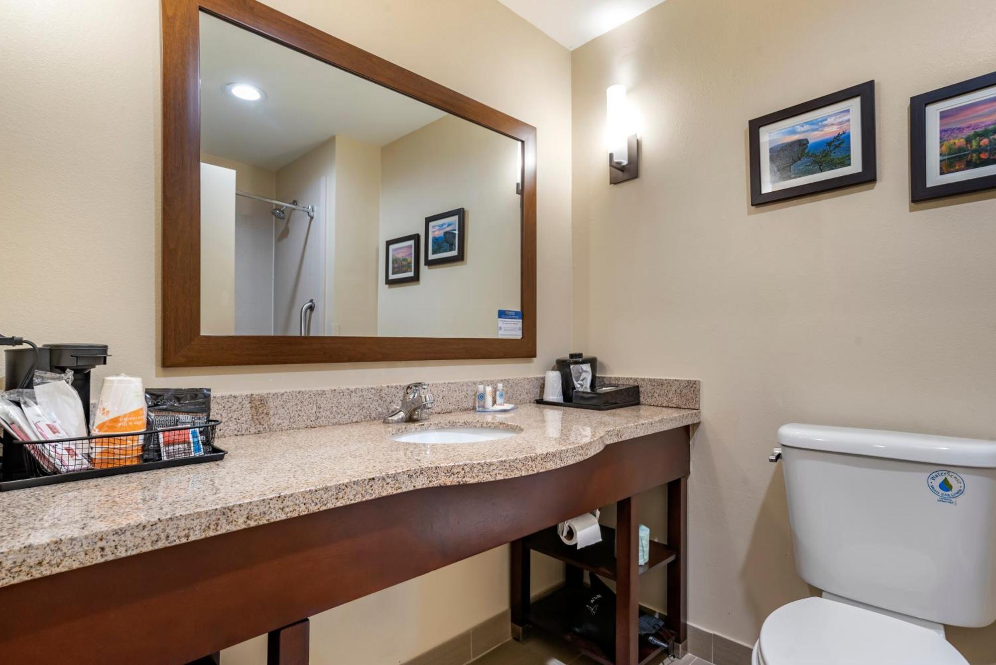 Comfort Suites Pell City I-20 Exit 158 Экстерьер фото